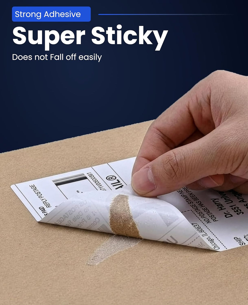 SEZNIK Thermal Printer 4x6 Inch Label Paper (100x150mm) | 800 Labels | Shipping, Parcel, Barcode & Address Labels | Waterproof, Oil & Scratch Resistant Label Roll | BPA Free | Perforated (Pack of 2)